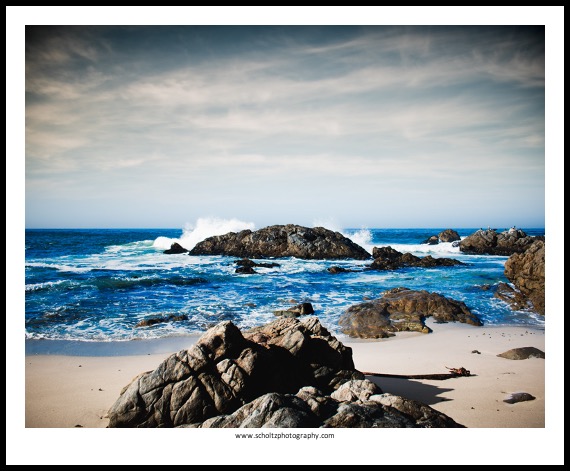 pearl bay print