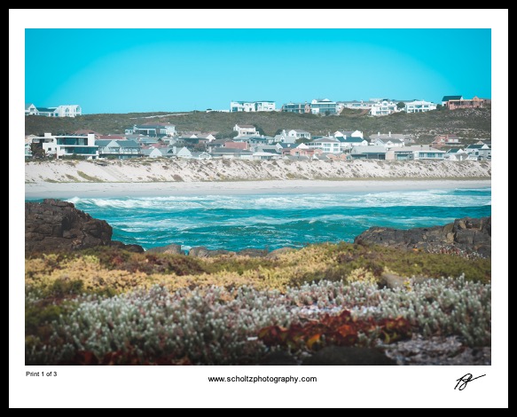 schaap island to luti katz framed
