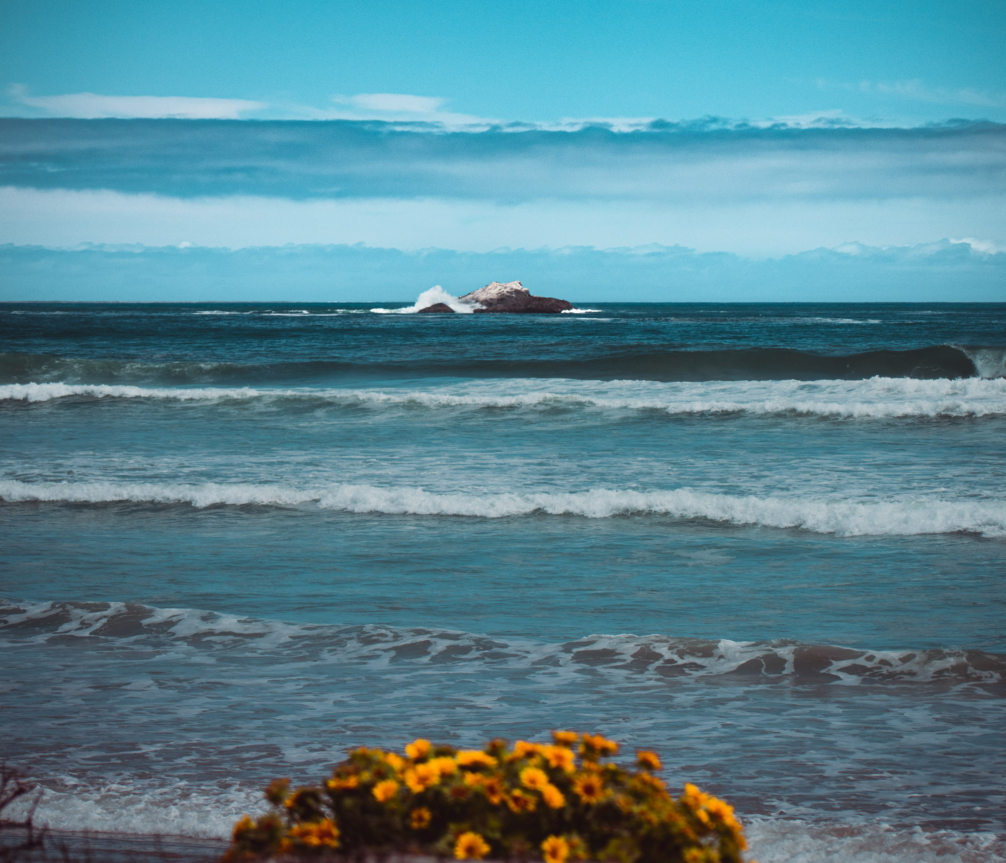yzerfontein cover portfolio